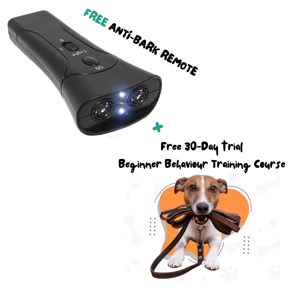 Anti-Bark Controller and Obedience Course Access